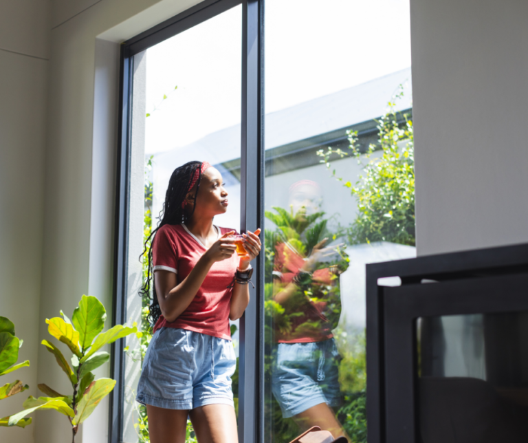 Home Window Tint