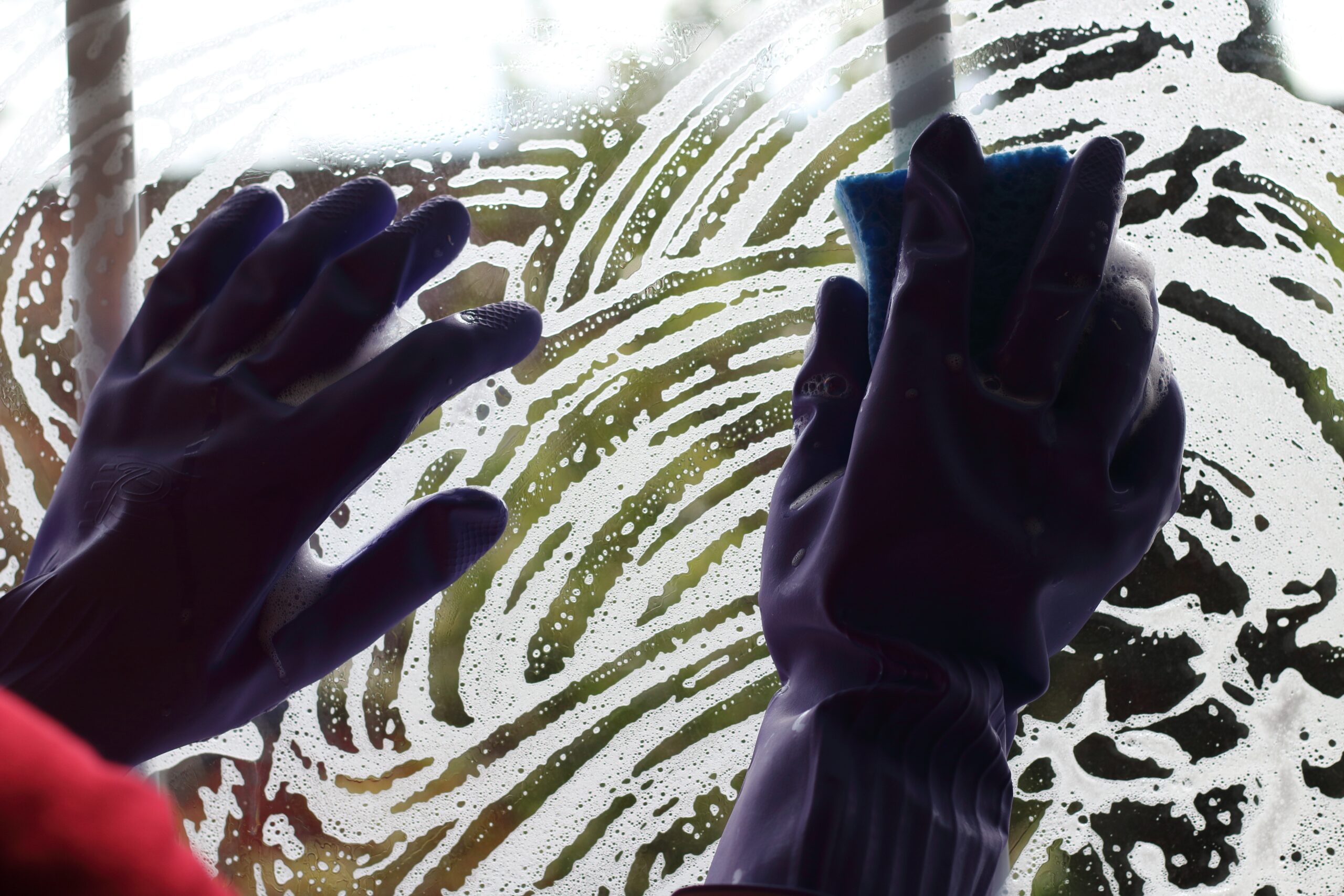 Shirley Window Tinting